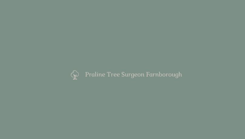 Praline Tree Surgeon Farnborough